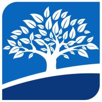 Bridgetree