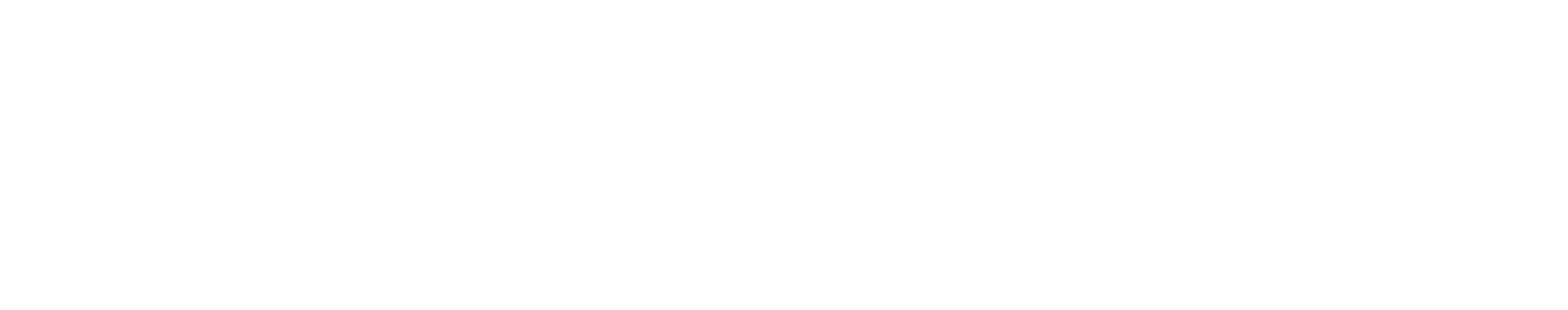 Doppelio Logo White